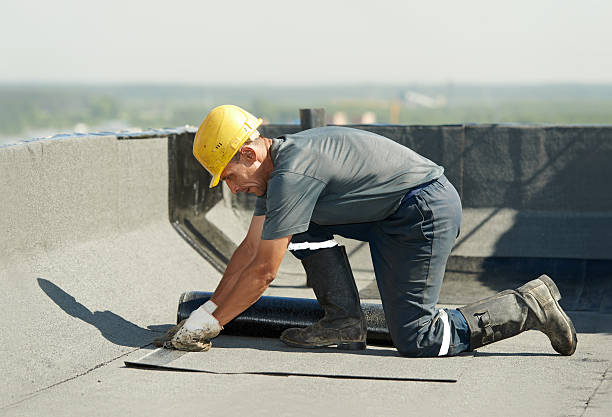 Best Cellulose Insulation in East San Gabriel, CA