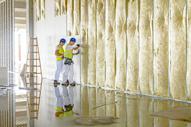 Best Residential Insulation in East San Gabriel, CA